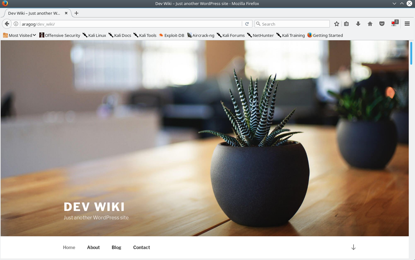 "Dev Wiki Wordpress"